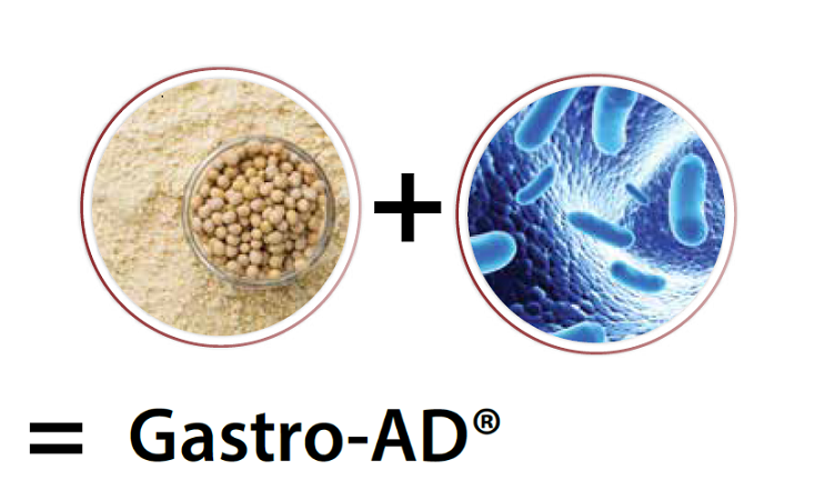 Gastro-AD